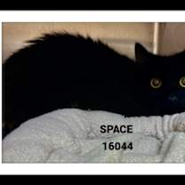 Thumbnail photo of SPACE #2