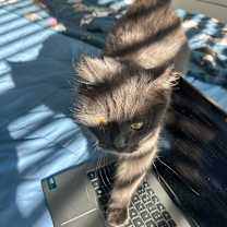 Thumbnail photo of Betty #4