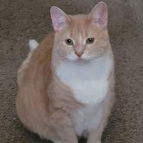 Thumbnail photo of Penny #1