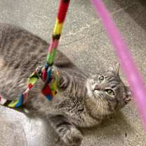 Thumbnail photo of Build A Bear #3