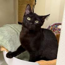 Thumbnail photo of Mabel #2