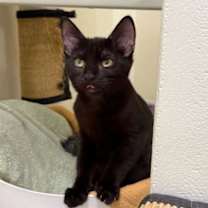 Thumbnail photo of Mabel #3