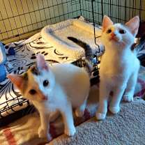 Thumbnail photo of Francesca #2