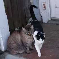 Thumbnail photo of Molly #3