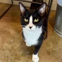 Thumbnail photo of Macy #3