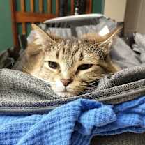 Thumbnail photo of Glitch #4