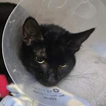 Thumbnail photo of Wally #3