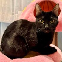 Thumbnail photo of Flower #1