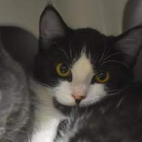 Thumbnail photo of Dulce de Leche #3