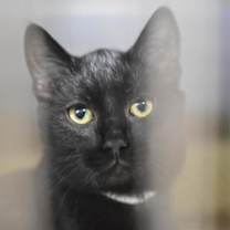 Thumbnail photo of Ganache #3