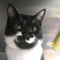 Thumbnail photo of Hot Honey #1