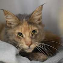 Thumbnail photo of Fraction #1