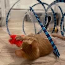 Thumbnail photo of Mai Tai #3