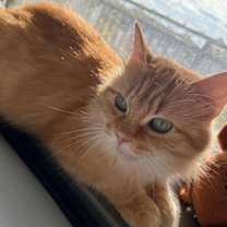 Thumbnail photo of Penny #4