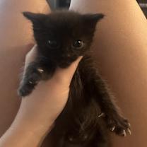 Thumbnail photo of Slime #2