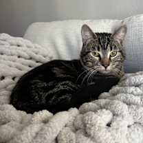 Thumbnail photo of Charlie #1