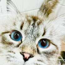 Thumbnail photo of Emily #1