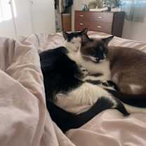 Thumbnail photo of Lucy 5 #2