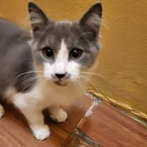 Thumbnail photo of Ariel #2