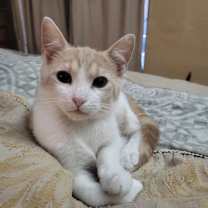 Thumbnail photo of Fisher #1