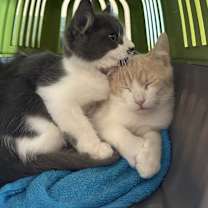 Thumbnail photo of Fisher #2