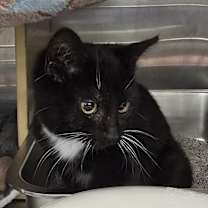 Thumbnail photo of Pauline #1