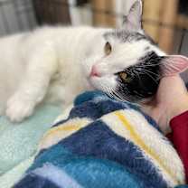 Thumbnail photo of Kai #2