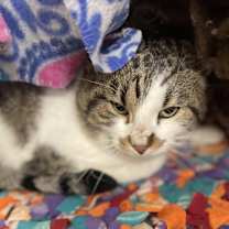 Thumbnail photo of Kevin #2