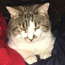 Thumbnail photo of Kevin #3