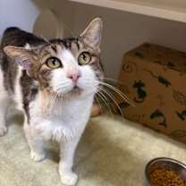 Thumbnail photo of George #1