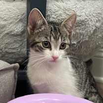 Thumbnail photo of Leia (LE) #1