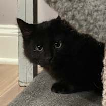 Thumbnail photo of Jamie (LE) #1