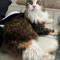 Thumbnail photo of Breezy #1