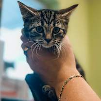 Thumbnail photo of Playa Vibe #2