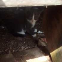 Thumbnail photo of Playa Vibe #3