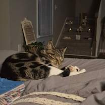 Thumbnail photo of Sissy #2