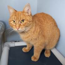 Thumbnail photo of Annie #1