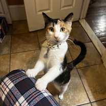 Thumbnail photo of Mimi #2