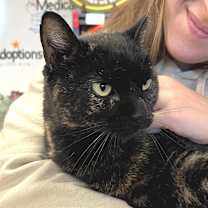 Thumbnail photo of Daria #4