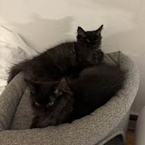 Thumbnail photo of No #2