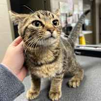 Thumbnail photo of Channel #3