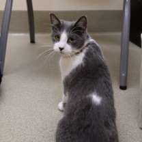 Thumbnail photo of Sigma #2