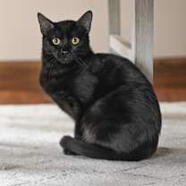 Thumbnail photo of Bessie #3