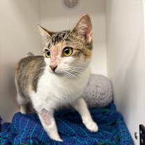 Thumbnail photo of Bubbly #1