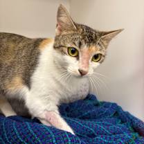 Thumbnail photo of Bubbly #2