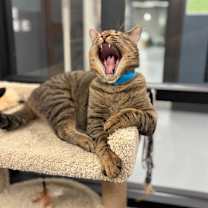 Thumbnail photo of MARLOW #3