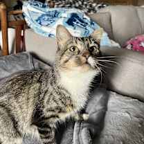 Thumbnail photo of Lucky Charm #1