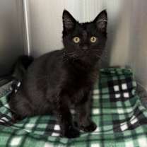 Thumbnail photo of Steve #4