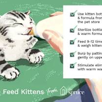 Thumbnail photo of Tonto #2