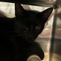 Thumbnail photo of Ferg Fetty Wap #2